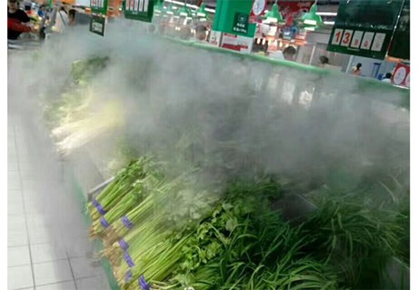 图片展示