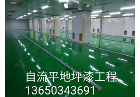 图片展示